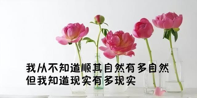 深触人心的佛言启示（唯美句子传递深层意义）