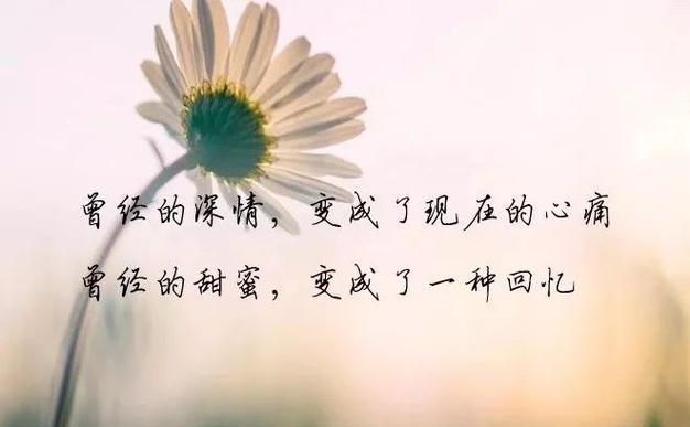 主题：伤心唯美句子，倾诉内心