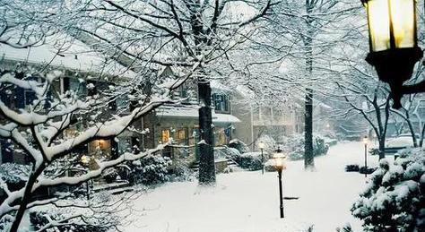 一场雪，一场梦（唤醒心灵的美丽）