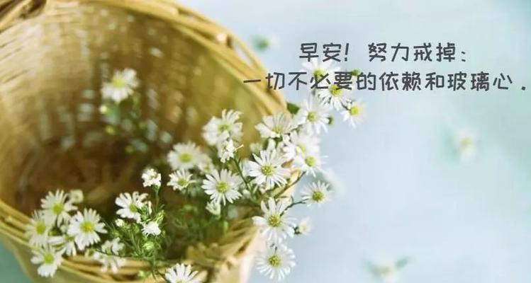 用唯美句子探寻人生真谛（用唯美句子探寻人生真谛）