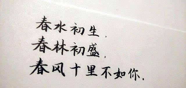 《红楼梦之甜蜜荣华》
