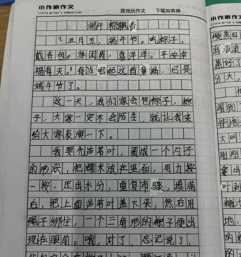 有关于端午节的作文怎么写（《端午情怀：小学生的龙舟梦》）
