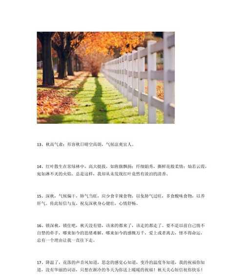 秋日之美（深秋的风景如画）