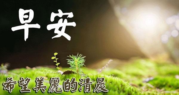 晨曦初露，唯美写意（2024年早晨）