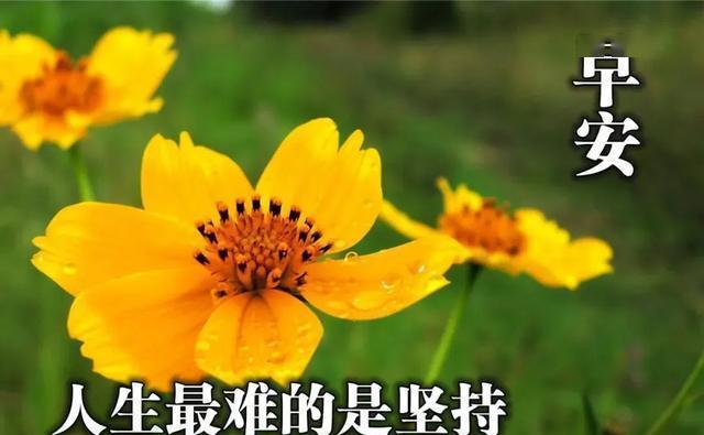 晨曦初露，唯美写意（2024年早晨）