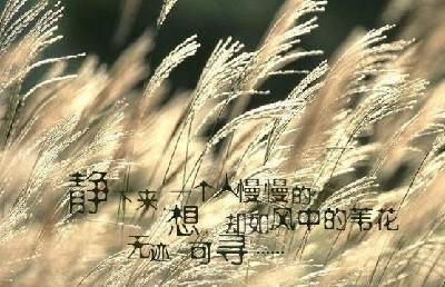 孤独的唯美（散步在思绪的花园里）
