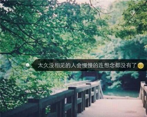 浸润心灵的美妙之词，静谧中品味生活（浸润心灵的美妙之词）