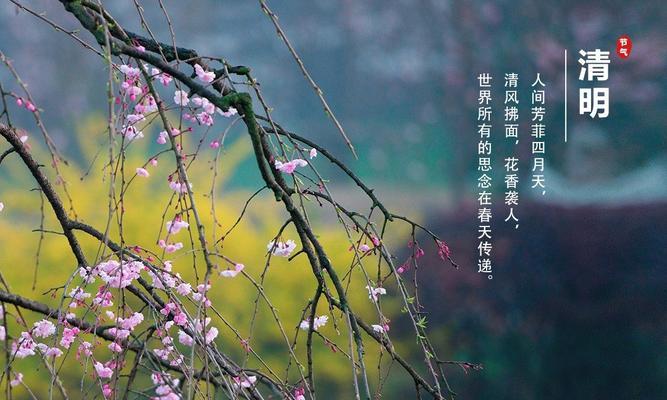 唯美追忆（唯美追忆）