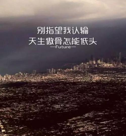 梦想的翅膀（以激励员工为目的的唯美句子）
