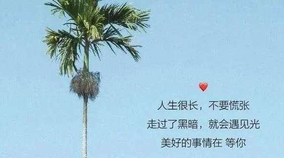 温暖的陪伴，甜蜜的时光（温暖的陪伴）