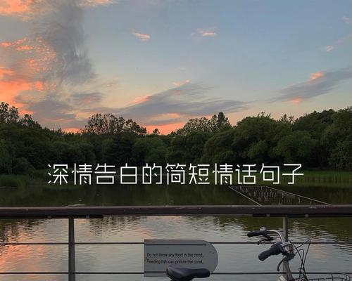 爱意盈盈，倾心表白——致我心爱的女孩