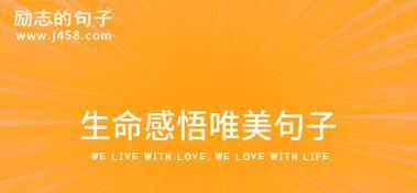 生命的美丽——人生感悟