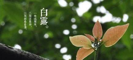 诗意生活与美好情感（诗意生活与美好情感）