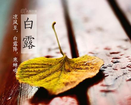 诗意生活与美好情感（诗意生活与美好情感）