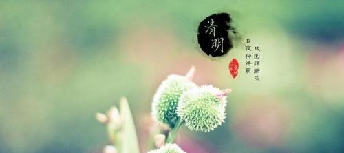 追寻爱的足迹（追寻爱的足迹）