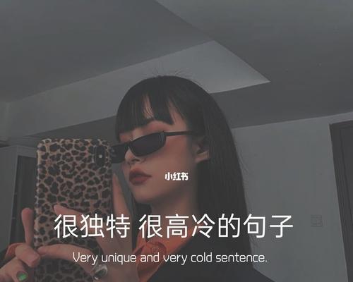 超拽高冷唯美（用25个段落）