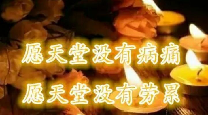 美好的力量（美好的力量）