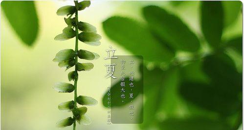 五月的瑰丽，绽放万千（五月的瑰丽）