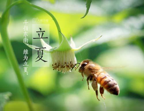 五月的瑰丽，绽放万千（五月的瑰丽）