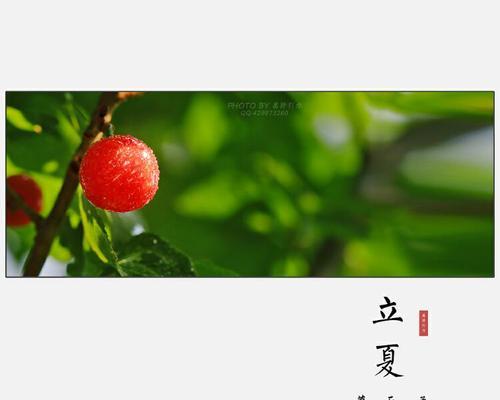 五月的瑰丽，绽放万千（五月的瑰丽）