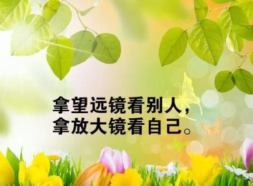 《唯美励志：感悟人生，追逐梦想》