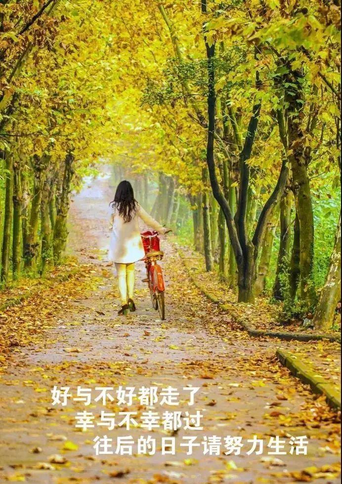 用心感悟、用情倾听，感悟生命之美（用心感悟、用情倾听）