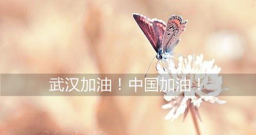 疫情下的唯美（用诗意温暖你的心灵）