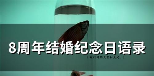 《在时光里凝固的美好》