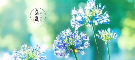 《立夏时节，花香满园》