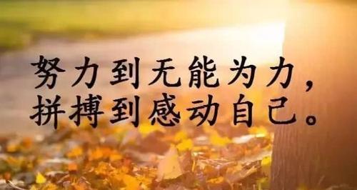 疫情下的唯美生活（用心感受）