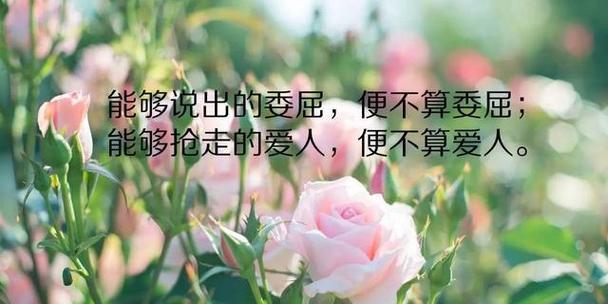每一个细节都犹如生命中的精华（每一个细节都犹如生命中的精华）