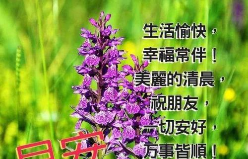 清晨的美好时刻（早安问候的温暖）