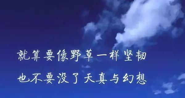 凌乱却美丽的人生（赏析人生中的唯美句子）
