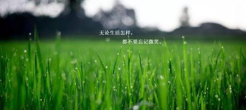 凌乱却美丽的人生（赏析人生中的唯美句子）