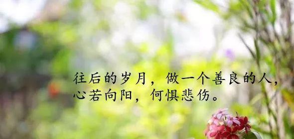 《以榜样为镜，从此高飞》