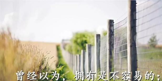 《以榜样为镜，从此高飞》