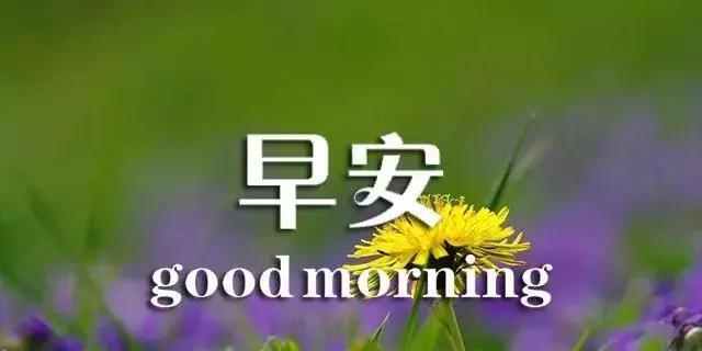 最美的语言，从心而发（最美的语言）