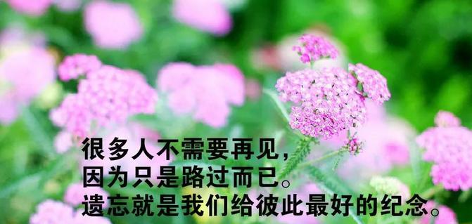 时间匆匆而过的美好（忙碌中）