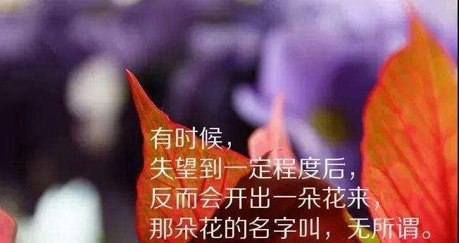 无奈人生中的唯美（追寻热爱与追求）