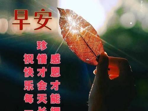 寻觅那最美的风景——朋友圈唯美句子宣传（带你领略唯美世界）