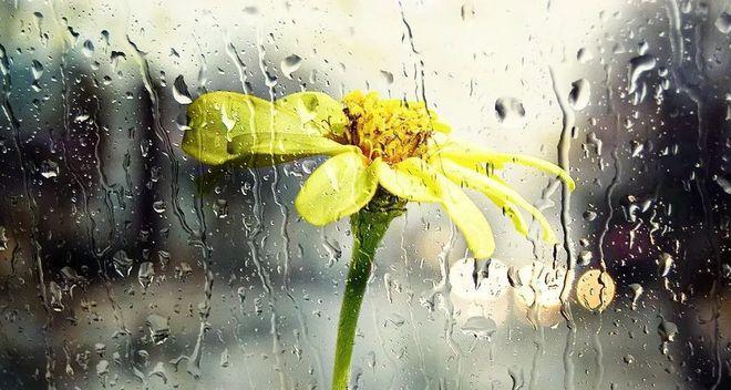 雨中漫步（雨中的美丽与寂寞）