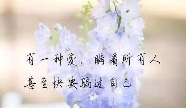 夜深人静，心酸熬夜（熬夜如今已成为常态）