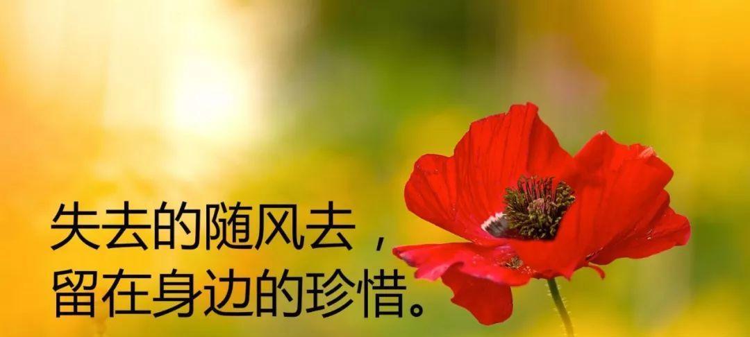 重拾温馨（重拾温馨）