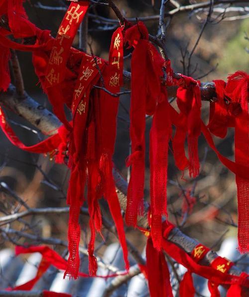 独特魅力的中国红（独特魅力的中国红）