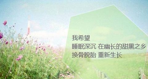 回家的温情（那一份亲情）