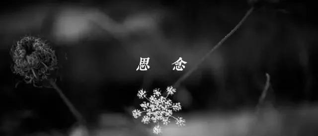 天堂爸爸，我想你了——怀念逝去的亲人