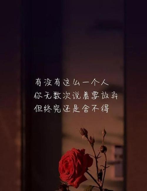 一段时光，一份感动（一段时光）
