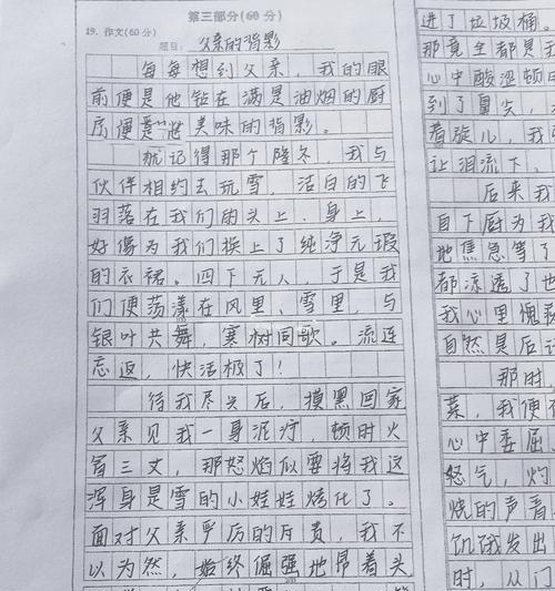 有关父亲节和孩子的背影作文的作文怎么写（《父爱如山，我以背影献礼》）