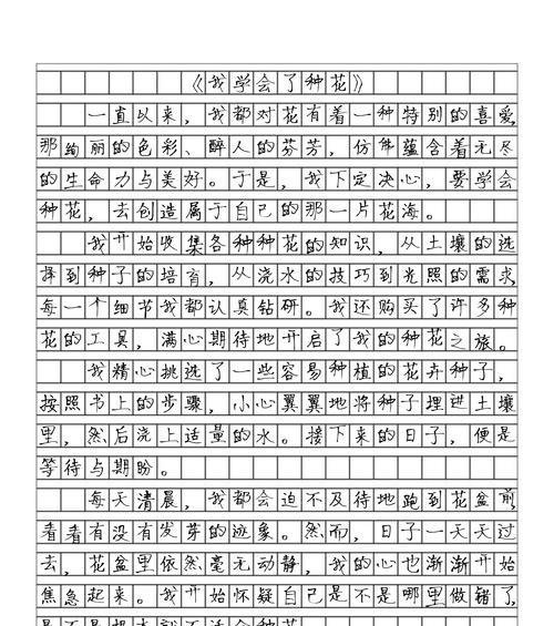 芒种杯作文300字（《芒种时节的种子与希望》）