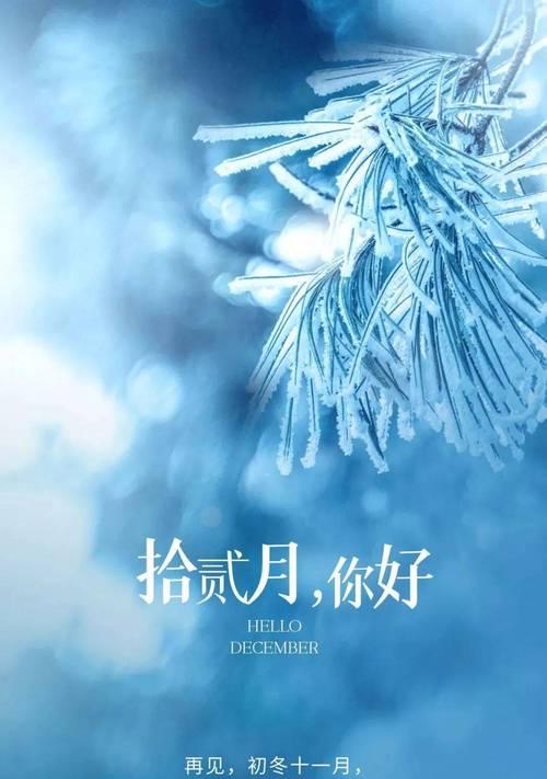 《再见2024，你好2024》
